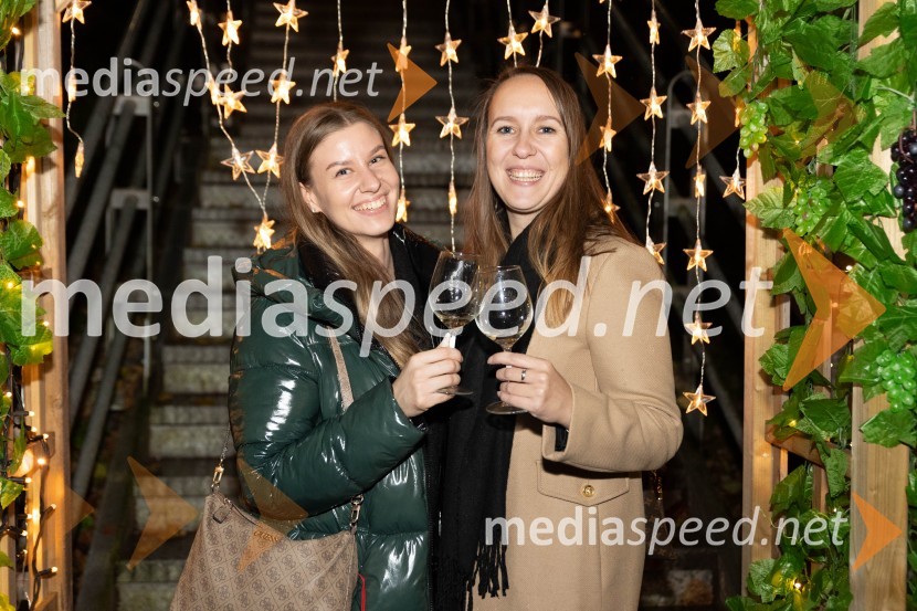 Vinska pot v rovih pod starim Kranjem 2023, petek 2