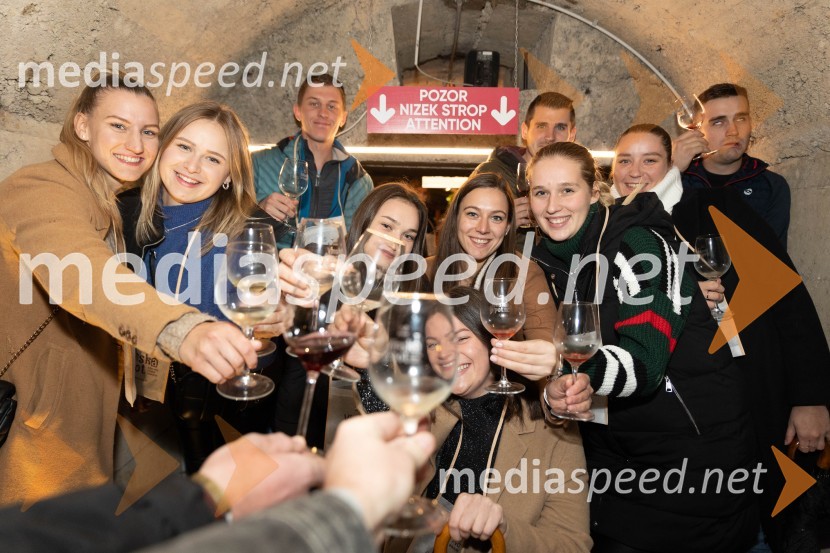 Vinska pot v rovih pod starim Kranjem 2023, petek 2