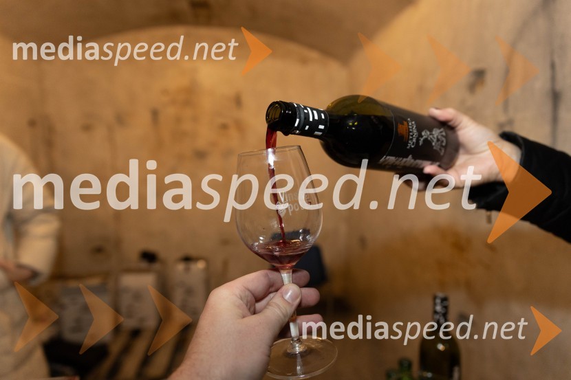 Vinska pot v rovih pod starim Kranjem 2023, petek 2