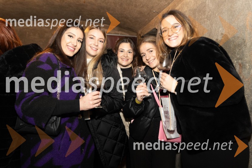 Vinska pot v rovih pod starim Kranjem 2023, petek 2