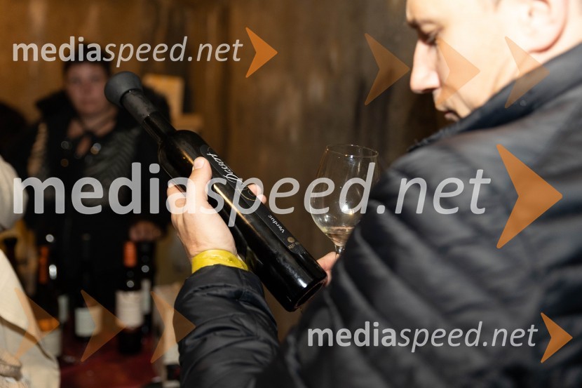 Vinska pot v rovih pod starim Kranjem 2023, petek 2