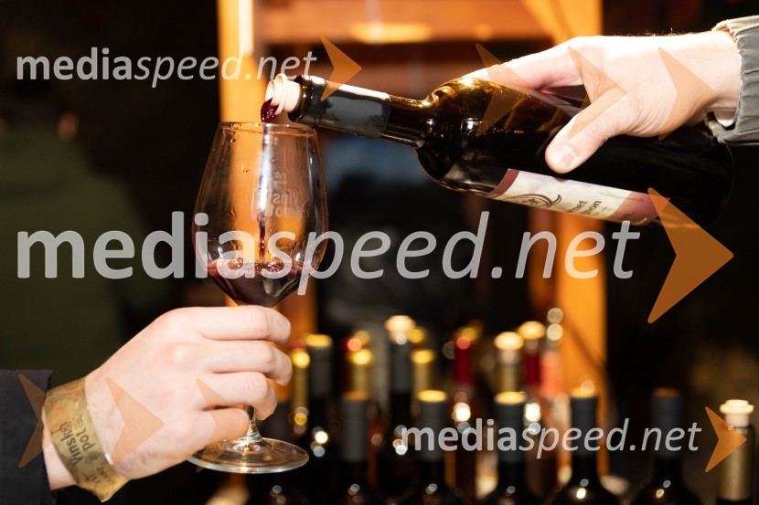 Vinska pot v rovih pod starim Kranjem 2023, petek 2