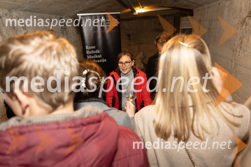 Vinska pot v rovih pod starim Kranjem 2023, petek 2