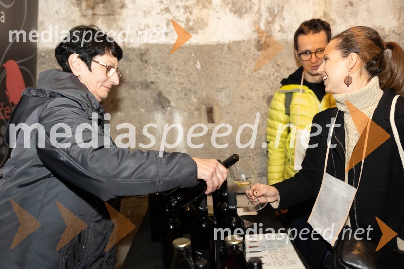 Vinska pot v rovih pod starim Kranjem 2023, petek 2