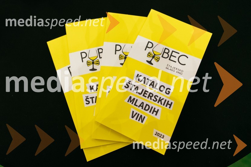 Pubeci v Citycentru Celje