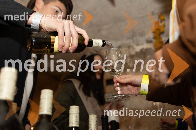 Vinska pot v rovih pod starim Kranjem 2023, sobota 2