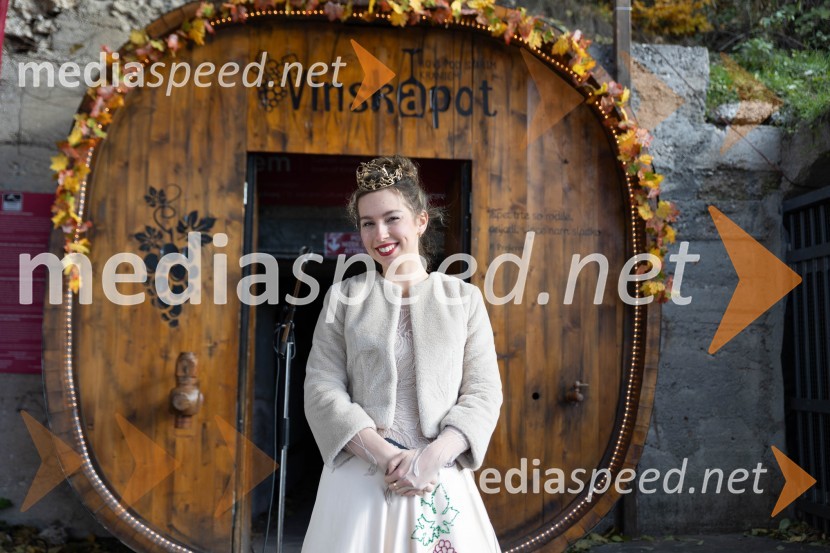 Vinska pot v rovih pod starim Kranjem 2023, sobota 2