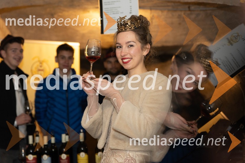 Vinska pot v rovih pod starim Kranjem 2023, sobota 2