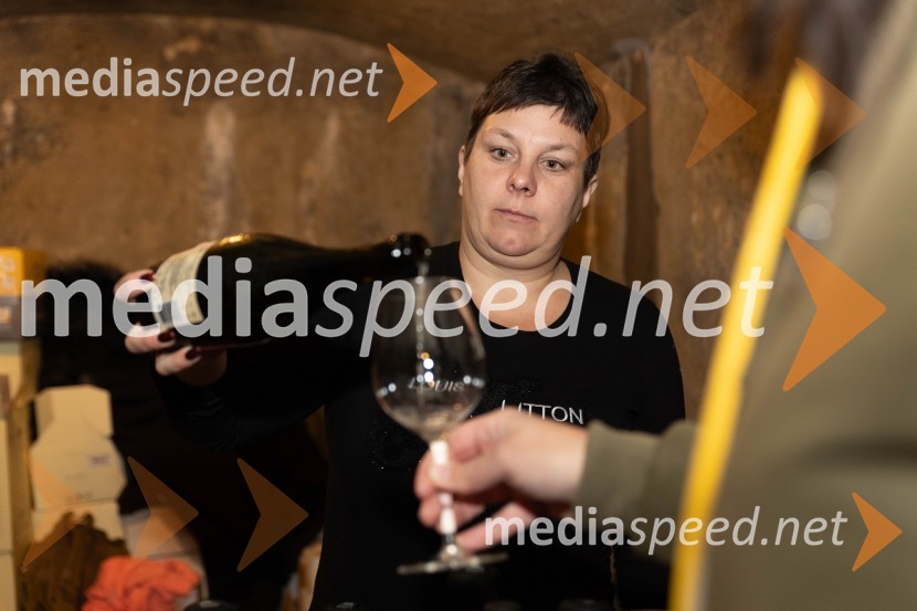 Vinska pot v rovih pod starim Kranjem 2023, sobota 2