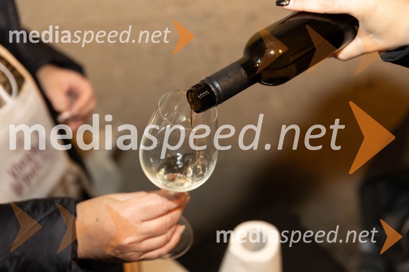 Vinska pot v rovih pod starim Kranjem 2023, sobota 2