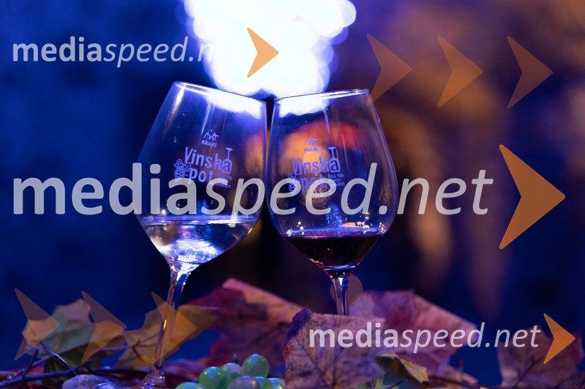 Vinska pot v rovih pod starim Kranjem 2023, sobota 2