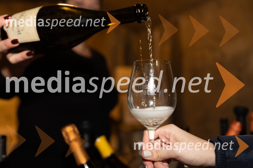 Vinska pot v rovih pod starim Kranjem 2023, sobota 2