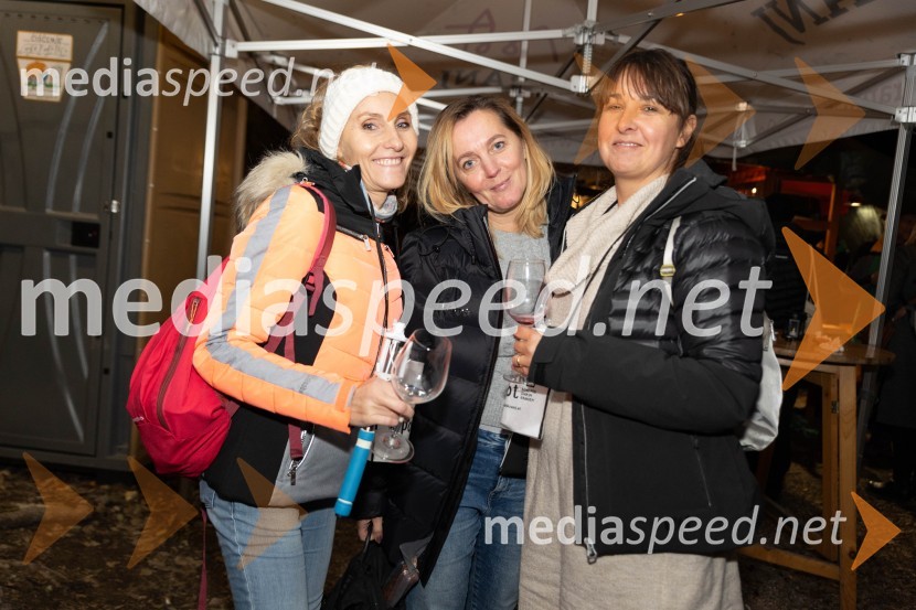 Vinska pot v rovih pod starim Kranjem 2023, sobota 2