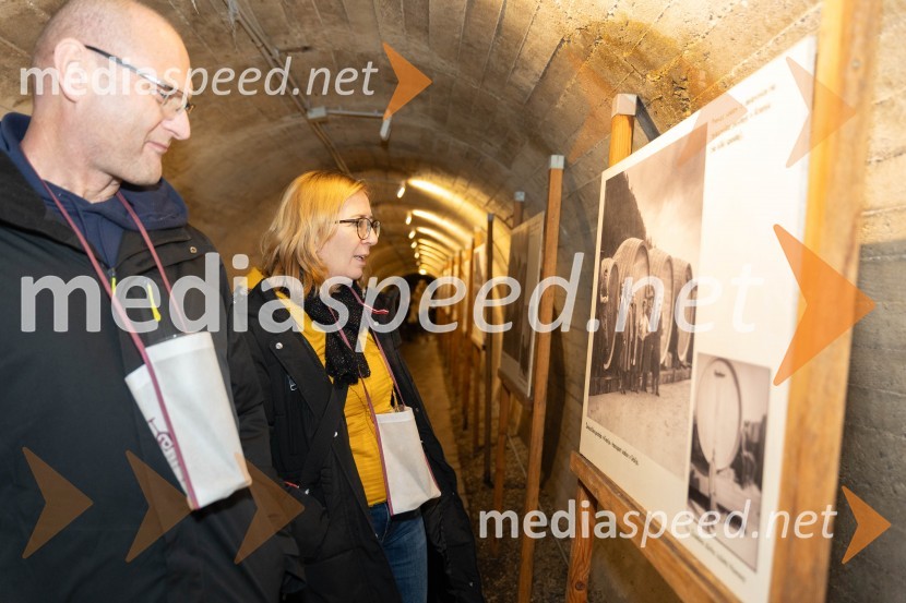 Vinska pot v rovih pod starim Kranjem 2023, sobota 2