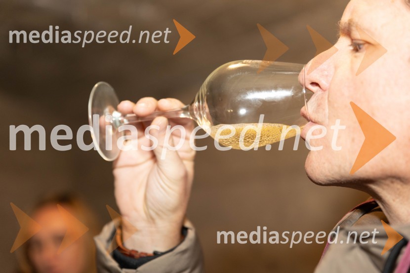 Vinska pot v rovih pod starim Kranjem 2023, sobota 2