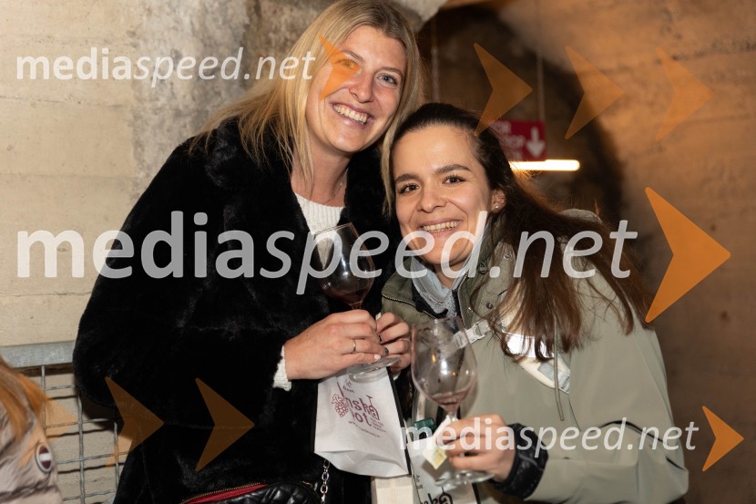 Vinska pot v rovih pod starim Kranjem 2023, sobota 2