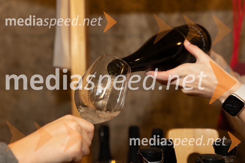 Vinska pot v rovih pod starim Kranjem 2023, sobota 2