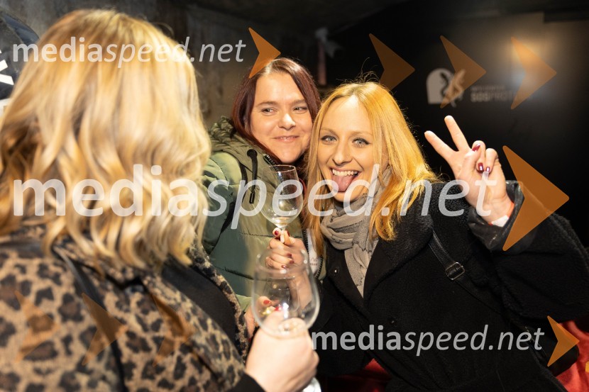 Vinska pot v rovih pod starim Kranjem 2023, sobota 2