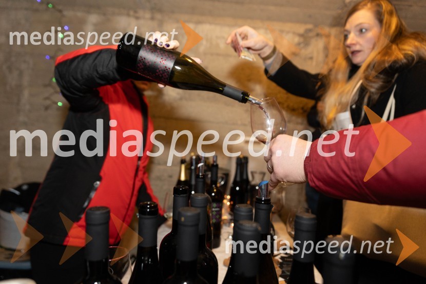 Vinska pot v rovih pod starim Kranjem 2023, sobota 2