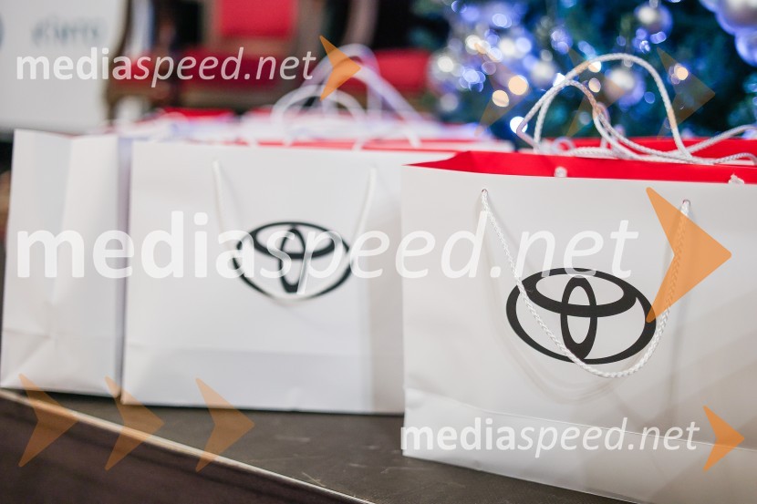 Letni dogodek Toyota Slovenija