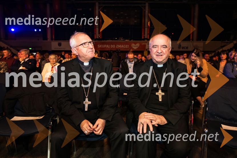 Dobrodelni koncert Klic dobrote za družine v stiski