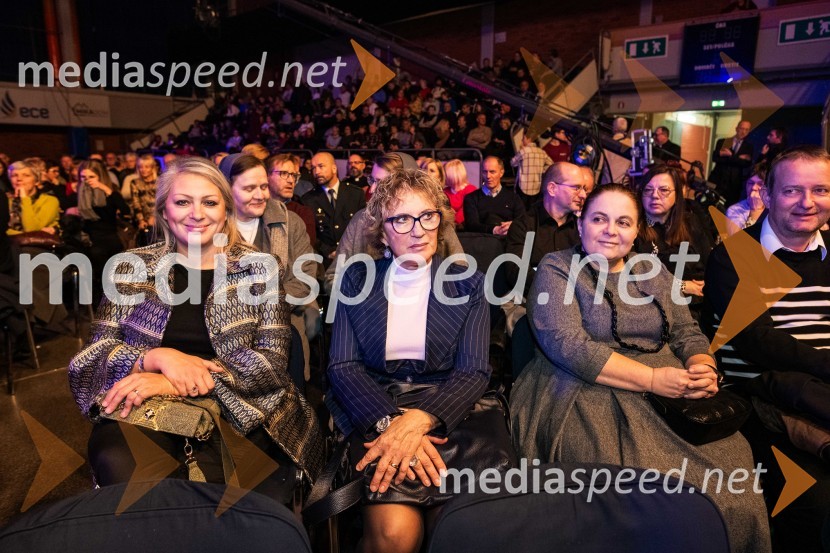 Dobrodelni koncert Klic dobrote za družine v stiski