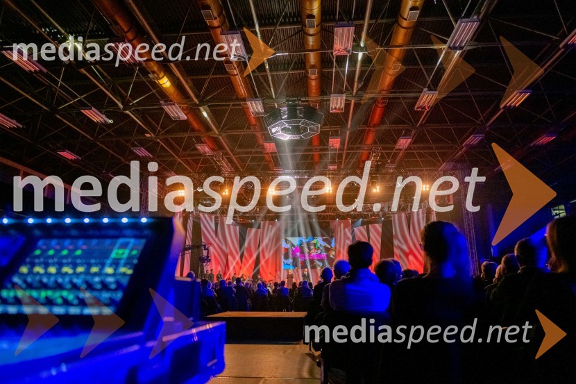 Dobrodelni koncert Klic dobrote za družine v stiski