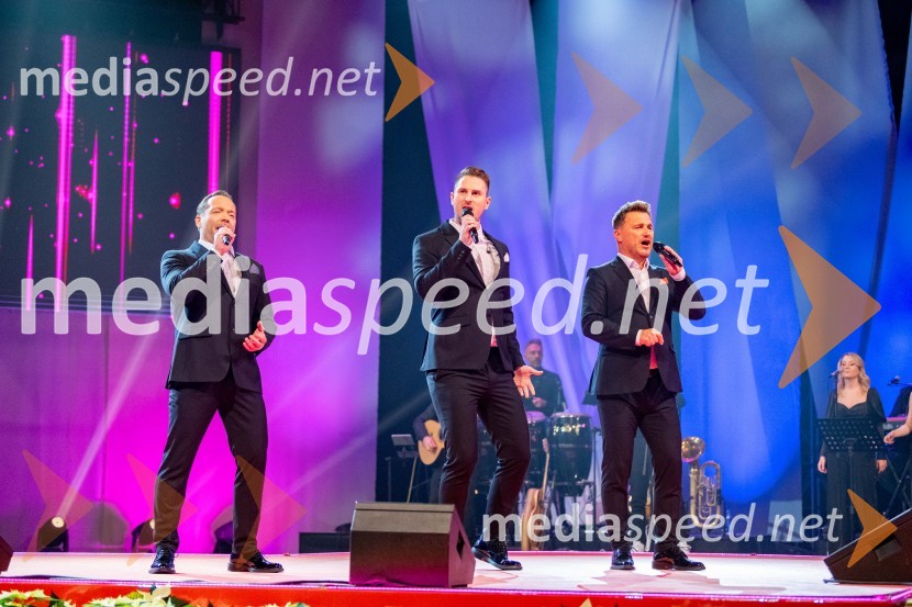  Aljaž Farasin, operni pevec;  Gregor Ravnik, pevec;  Matjaž Robavs, operni pevecDobrodelni koncert Klic dobrote za družine v stiski
