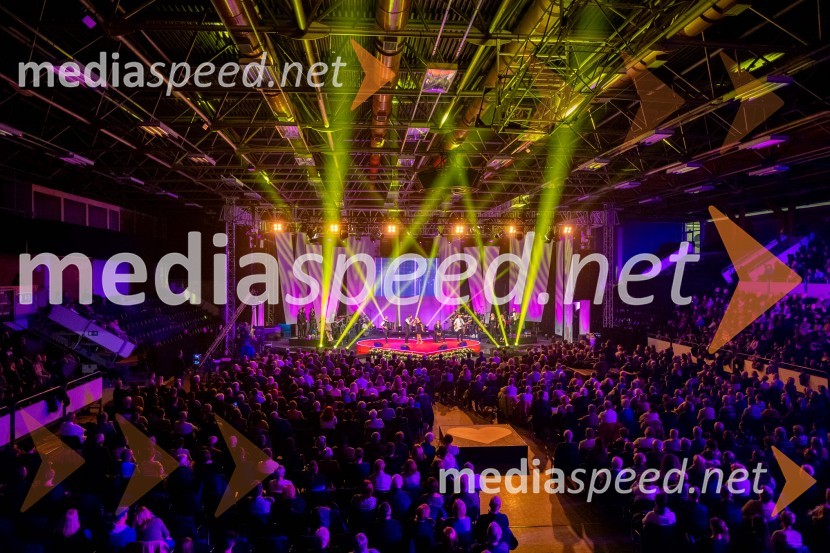 Dobrodelni koncert Klic dobrote za družine v stiski