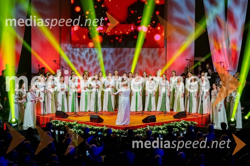 Dobrodelni koncert Klic dobrote za družine v stiski