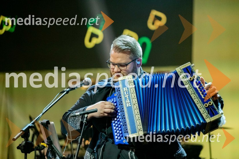 Dobrodelni koncert Klic dobrote za družine v stiski