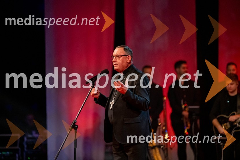 Dobrodelni koncert Klic dobrote za družine v stiski