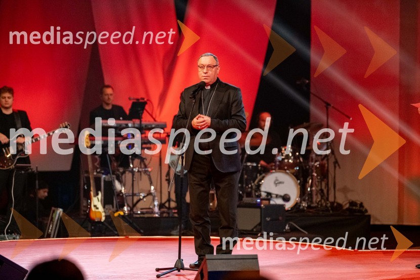 Dobrodelni koncert Klic dobrote za družine v stiski