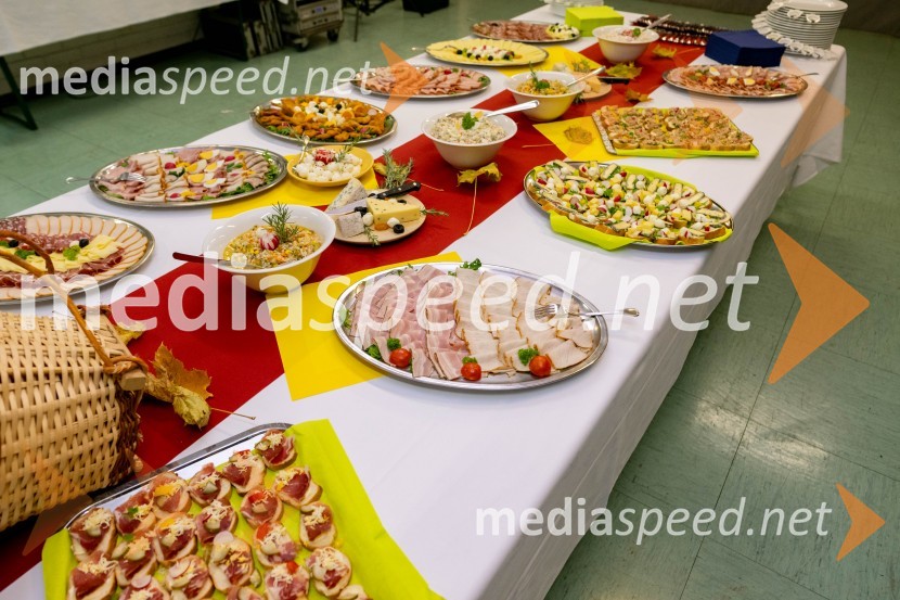 Dobrodelni koncert Klic dobrote za družine v stiski