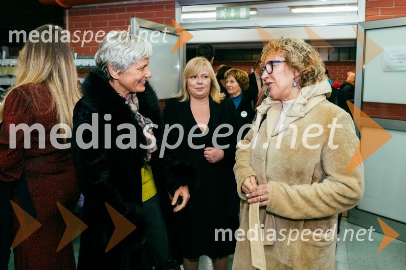 Dobrodelni koncert Klic dobrote za družine v stiski