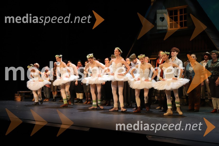 Planinska roža, premiera opere v SNG Maribor