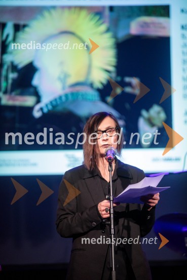 dr. Marina Gržinić, ZRC SAZUOdprtje razstave Slovenski punk in fotografija, Cankarjev dom