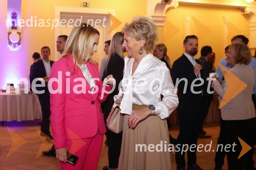  Ajša Vodnik, izvršna direktorica AmCham (Ameriška gospodarska zbornica);  ... AmCham Poslovna liderka in Poslovni lider leta 2024 sta Anita Ogulin in dr. Jure Leskovec