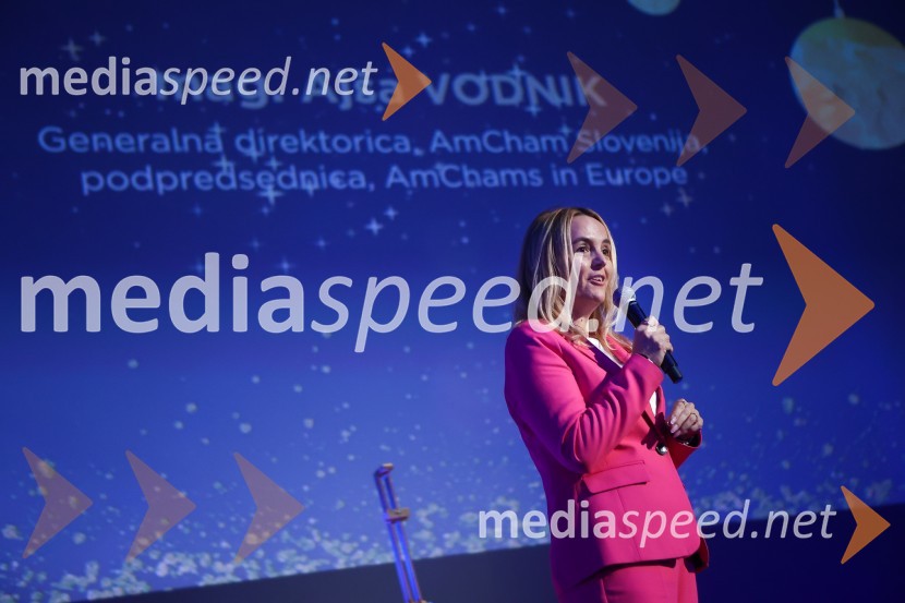  Ajša Vodnik, izvršna direktorica AmCham (Ameriška gospodarska zbornica)AmCham Poslovna liderka in Poslovni lider leta 2024 sta Anita Ogulin in dr. Jure Leskovec