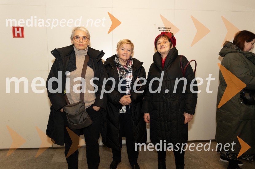  Alja Predan, dramaturginja SLG Celje, nekdanja umetniška direktorica Festivala Borštnikovo srečanje, selektorica festivala Dneva komedije;  ... ;  ... Navodila, premiera drame v MGL