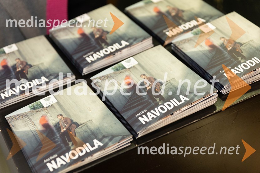 Navodila, premiera drame v MGL