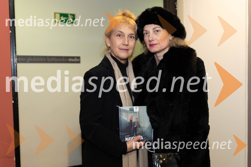  Barbara Hieng Samobor, direktorica in umetniška vodja MGL;  Hermina Kovačič, strokovnjakinja za komuniciranjeNavodila, premiera drame v MGL