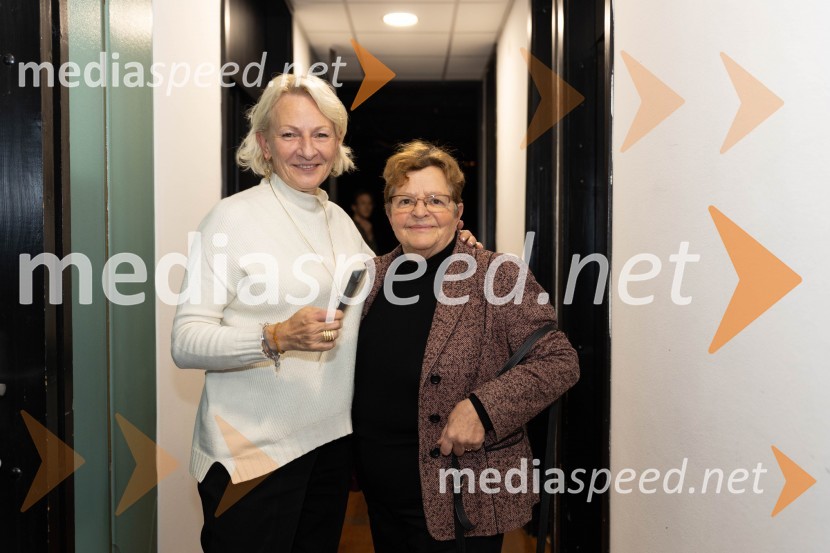 Navodila, premiera drame v MGL