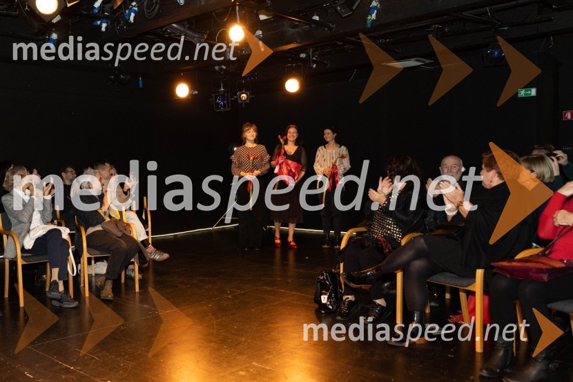  Julita Kropec, igralka;  Ana Duša, pisateljica, režiserka;  Nina Čehovin, kostumografkaNavodila, premiera drame v MGL