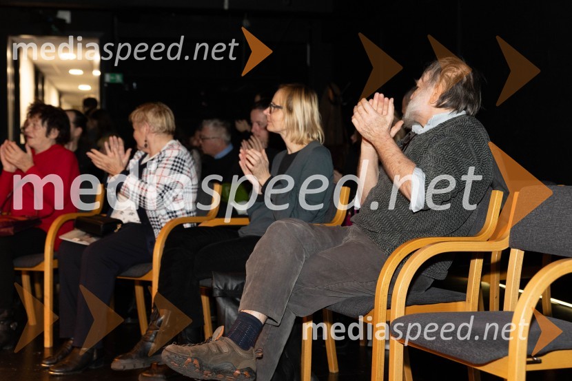 Navodila, premiera drame v MGL