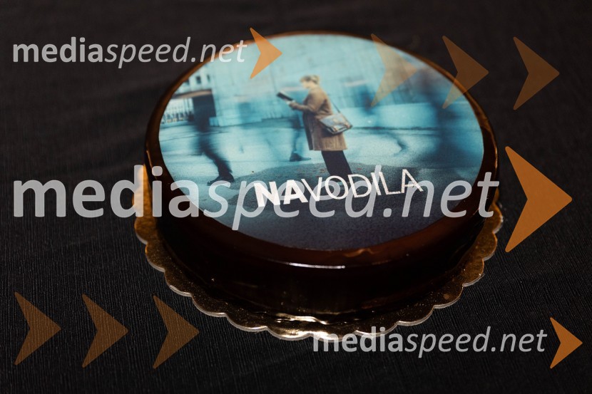 Navodila, premiera drame v MGL