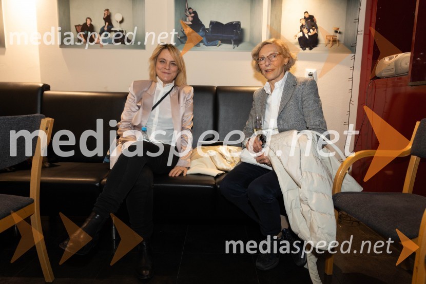 Navodila, premiera drame v MGL