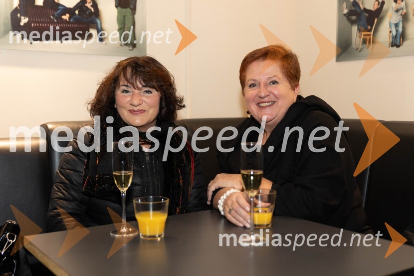 Navodila, premiera drame v MGL