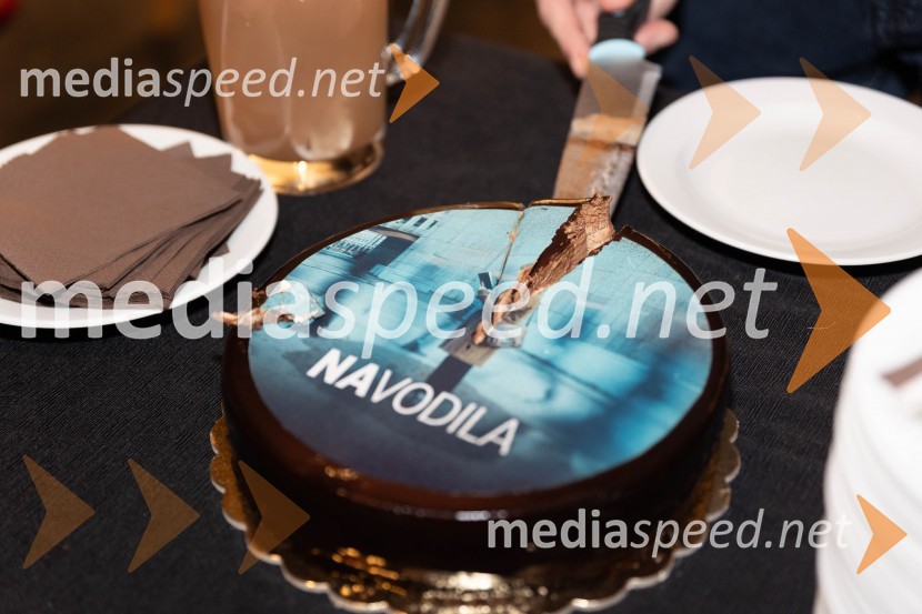 Navodila, premiera drame v MGL