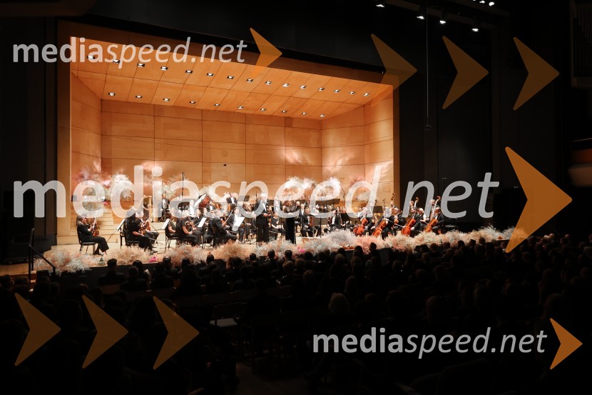 30. dobrodelni managerski koncert